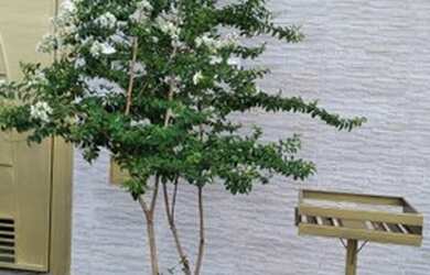 Imagem: A casa possui 2 Dormitórios, 2 Banheiros, 2 Vagas na garagem