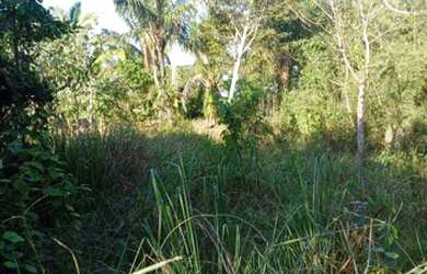 Imagem 4: Vende ou troca. 