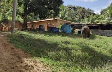 Imagem: A chácara possui 30.000m² de Área e está localizado em