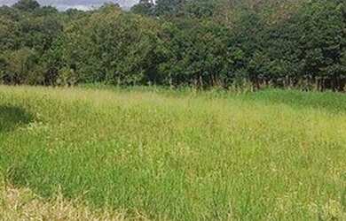 Imagem: O terreno possui 360m² de Área e está localizado em Centro