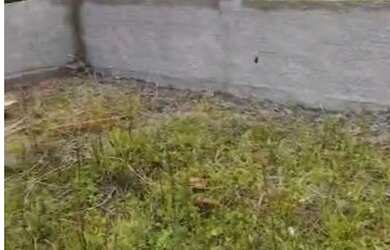 Imagem 2: Terreno Praia Terreno / lote com venda por R$65.000