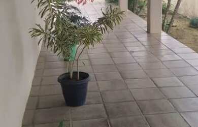 Imagem 2: Casa aluguel são João Jaguaquara