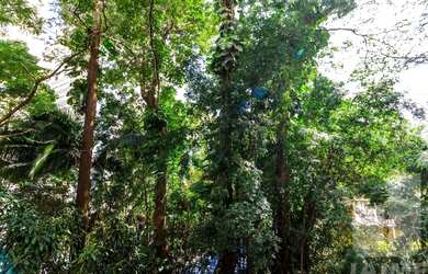 Imagem 13: Apartamento com 3 Dormitórios 1 Vaga em Higienópolis