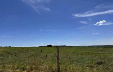 Imagem 7: Fazenda com cana próximo Uberlândia