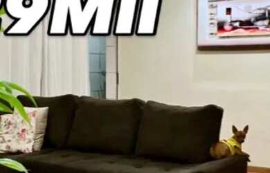 Imagem: O apartamento possui 3 Dormitórios, 2 Banheiros, 2 Vagas na