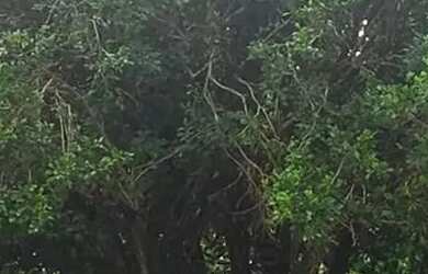 Imagem 1: Terreno casa antiga venda tem 240 metros quadrados em Vila Metalúrgica...