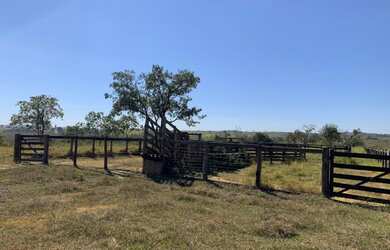 Imagem 5: Fazenda 705 ha ou 291,32 alq paulista em Presidente Olegário MG