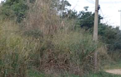 Imagem 1: Terreno 600m. 600m² de Área