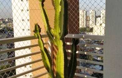 Imagem 12: Apartamento com 1 dormitório, 75 m² - venda por R$ 699.000,00 ou aluguel...