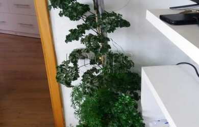 Imagem 4: SAO PAULO - Apartamento Padrão - BELA VISTA