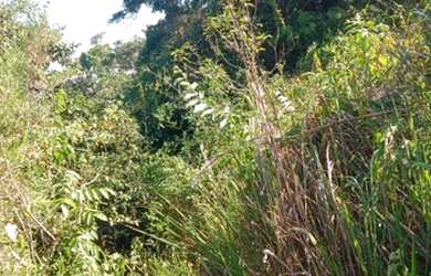 Imagem 6: Vende ou troca. 