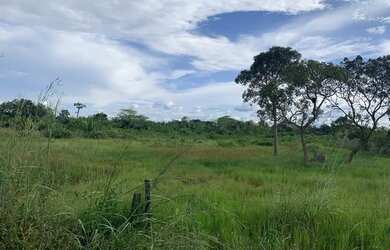Imagem: A fazenda possui 15.000m² de Área e está localizado em Alto