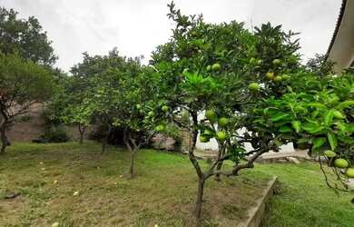 Imagem 5: Casa em Jardim Carvalho. Churrasqueira, Área de serviço, Lareirae5 Vagas...