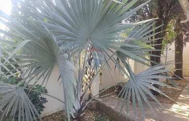 Imagem 4: Casa 03 quartos, 01 suíte, 02 vagas, Jd. Bela Vista, Cosmópolis, SP