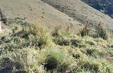 Imagem 4: Vende se um terreno no pouso alegre