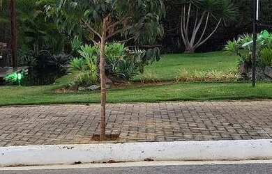 Imagem 2: Lote 360m2 no residencial Pampulha Tennis