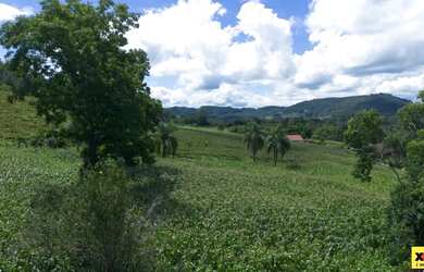 Imagem: A fazenda possui 56.000m² de Área e está localizado em Nova