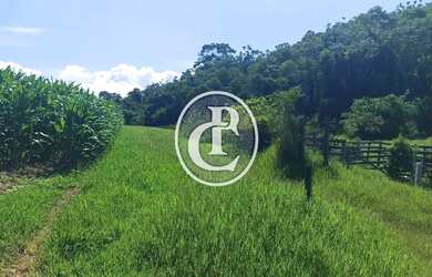 Imagem: A fazenda possui 300m² de Área e está localizado em Área