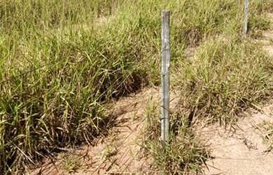 Imagem 8: Fazenda 705 ha ou 291,32 alq paulista em Presidente Olegário MG