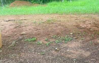 Imagem 4: lote no bairro belvedere - Atibaia , loteamento fechado