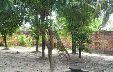 Imagem 2: Vendo essa casa Casa com 4 dormitórios