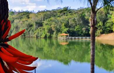 Imagem: O terreno possui 1.000m² de Área, Piscina e está localizado