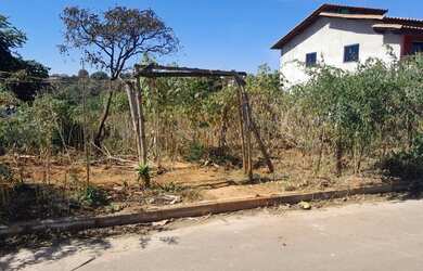 Imagem 5: Lote igarapé. 360m² de Área