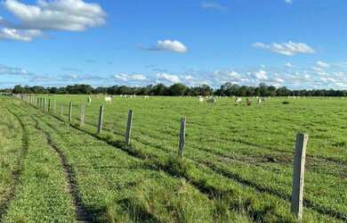 Imagem: A fazenda está localizado em Pacajá, PA à venda por R$3.000.000