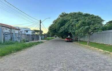 Imagem 1: MQII 337 Lote 610291004-8