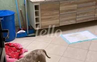 Imagem 8: Casa 3 quartos à venda no a Vila Camilópolis