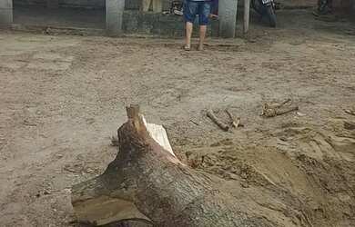 Imagem 2: Vendo casa com piscina e terreno no garrote por 125.000,00 reais