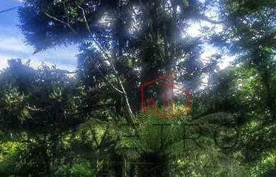 Imagem 2: Terreno à Venda em Canela