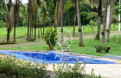 Imagem 6: Vende-se lindíssima Chácara Estância Liberdade , pé no barranco ,...