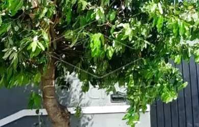 Imagem: A casa possui 2 Dormitórios, 1 Banheiro, 5 Vagas na garagem