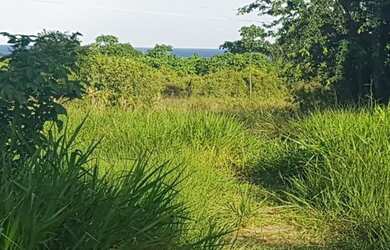 Imagem: A fazenda possui 100000m² de Área e está localizado em Pitimbu