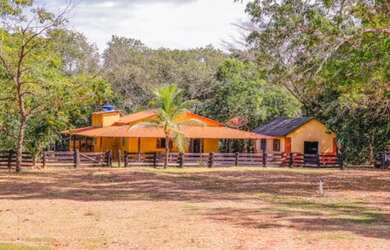 Imagem: A fazenda está localizado em Plano Diretor Sul, Palmas à venda