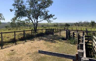 Imagem 10: Fazenda 705 ha ou 291,32 alq paulista em Presidente Olegário MG