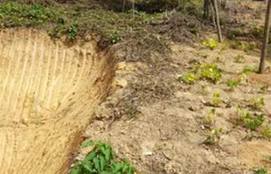 Imagem: A chácara possui 3.020m² de Área e está localizado em Da