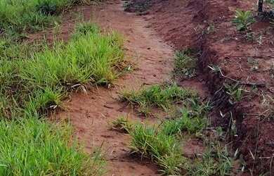 Imagem 1: Terreno área rural. 3.000m² de Área