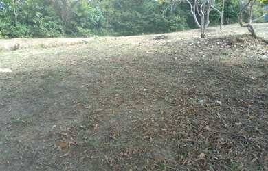 Imagem 2: Terreno Distrito II Puraquequara