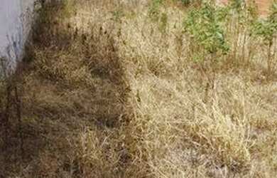 Imagem 2: Terreno à venda, 240 m² por R$ 150.000 - Vila Martins - Salto/SP