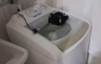 Imagem 4: Apartamento para mocas 300reais incluso agua energia alimentação Zap