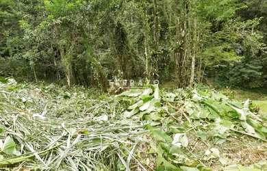 Imagem 4: Terreno plano à venda 16x40 com 640m² por R$ 130.000,00 no Limoeiro,...