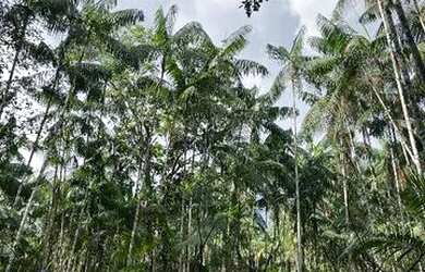 Imagem: A fazenda possui 720.000m² de Área, Churrasqueira, Piscina