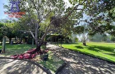 Imagem 14: Chácara com estrutura completa à Venda - 11.916 m²