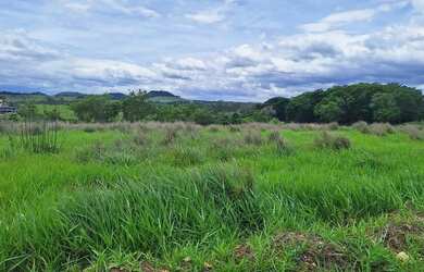 Imagem 9: Area Rural 15,5 Hectares Castelo Branco /Poranga/SP