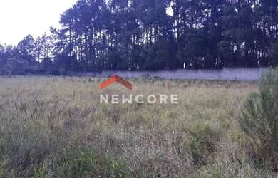 Imagem: O terreno possui 5.861m² de Área e está localizado em Filipinho