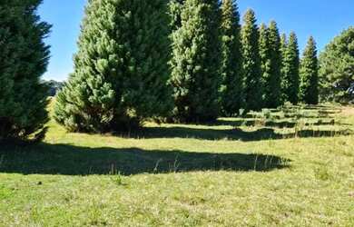 Imagem 4: Sitio - Bairro Saiqui