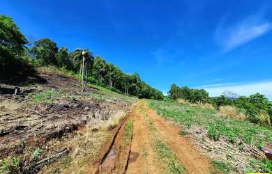 Imagem 3: Sítio / Chácara para Venda em Nova Petrópolis, Fazenda Pirajá