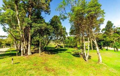 Imagem 15: TERRENO COM PARCELAMENTO DIRETO EM ATÉ 60X